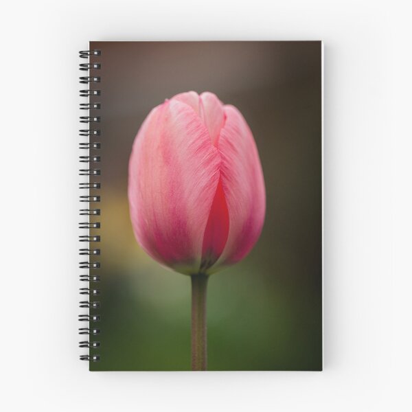 Item preview, Blushing Pink Tulip in Soft Focus designed and sold by JSFrame.