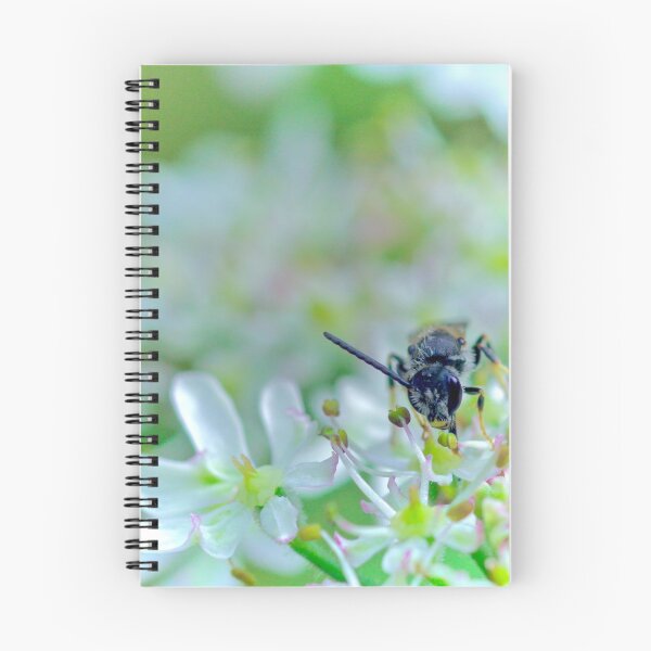Item preview, BEE POLLEN NATION designed and sold by NICK COBURN PHILLIPS.