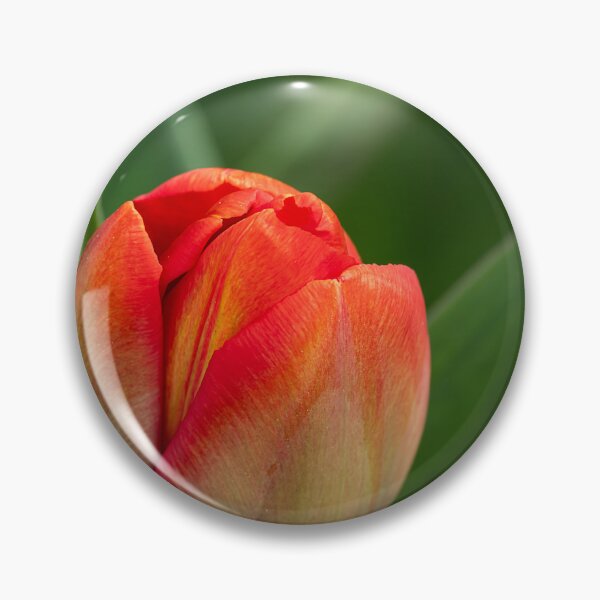 Item preview, Orange tulip bulb against soft leaf background vertical designed and sold by lisavonbiela.