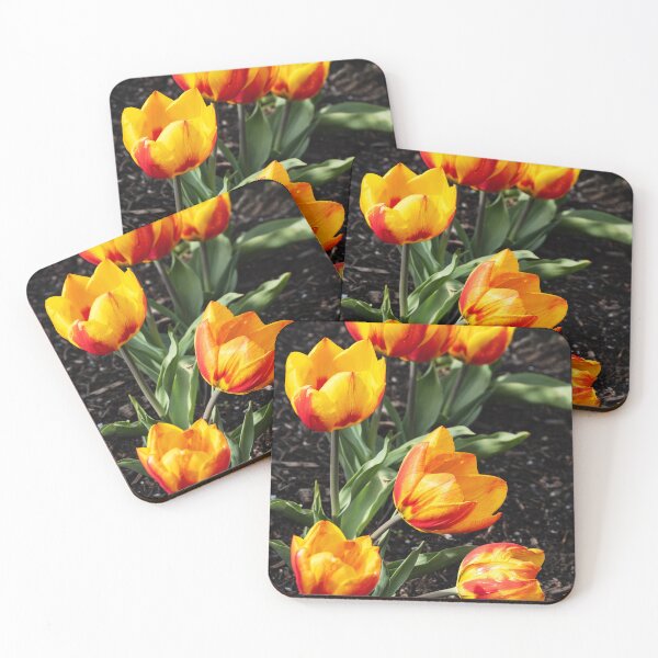 Item preview, Vertical shot of backlit orange tulips against garden soil designed and sold by lisavonbiela.