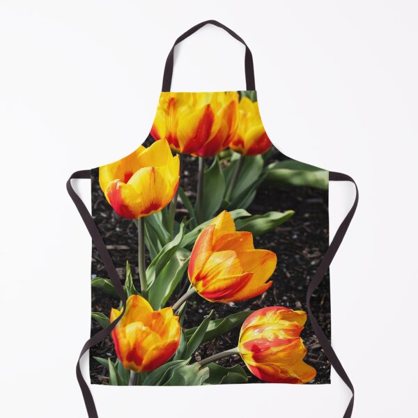 Item preview, Vertical shot of backlit orange tulips against garden soil designed and sold by lisavonbiela.