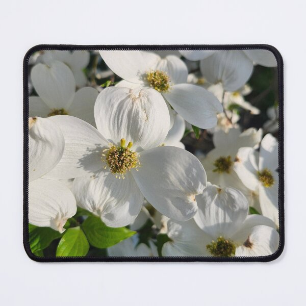 Item preview, Group Shot  designed and sold by Shellie Bruner.