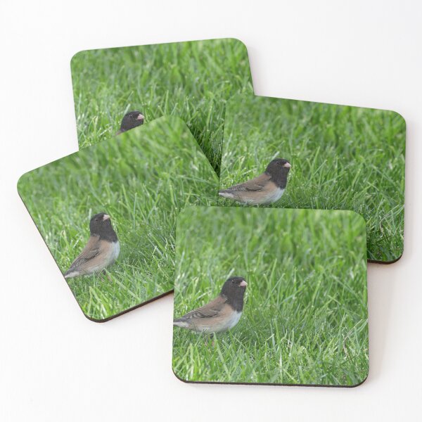 Item preview, Dark-eyed Junco in lush grass with eye to camera designed and sold by lisavonbiela.