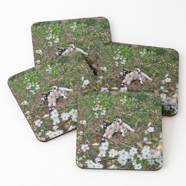 Item preview, Spring lambs Lake District  designed and sold by jomash.