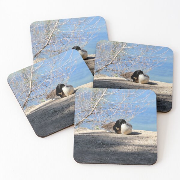 Item preview, Canada Goose Yoga Pose designed and sold by heatherfriedman.
