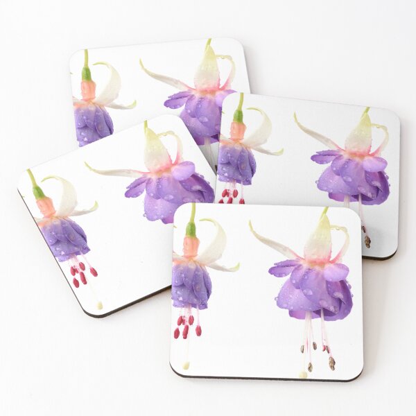 Item preview, Fuchsia 'Prince George' designed and sold by Chris Burrows.