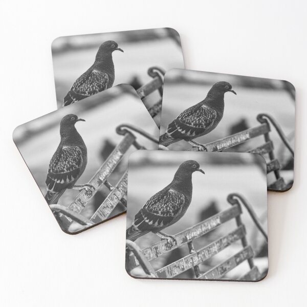 Item preview, Lonely Pigeon Perched On Weathered Park Bench In Monochrome Urban Scene designed and sold by Nmallia.