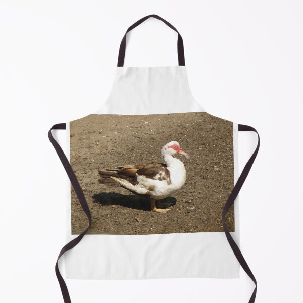 Item preview, Muscovy Duck with a feather Photograph designed and sold by naturegallery.