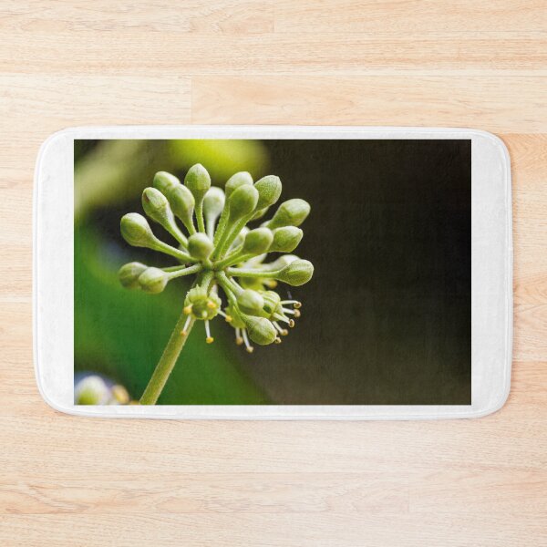 Item preview, Green Flower Buds Macro Close-Up On Stem With Emerging Blossoms And Pollen Detail designed and sold by Nmallia.