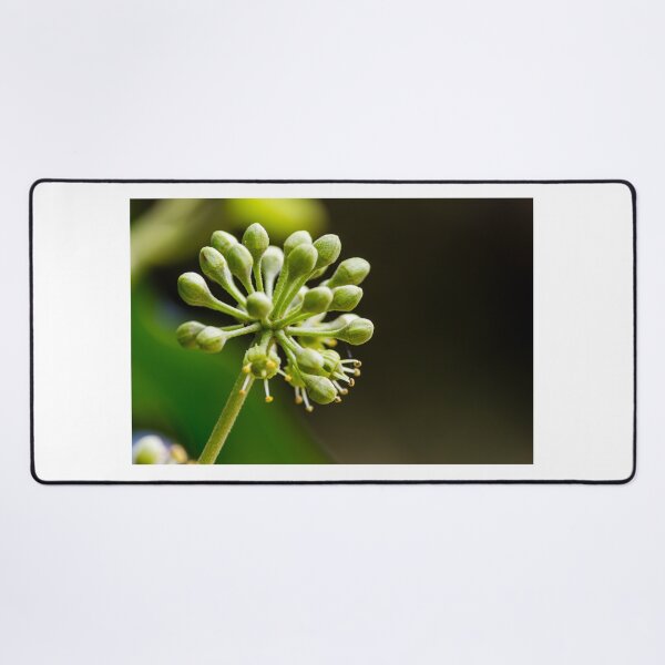 Item preview, Green Flower Buds Macro Close-Up On Stem With Emerging Blossoms And Pollen Detail designed and sold by Nmallia.
