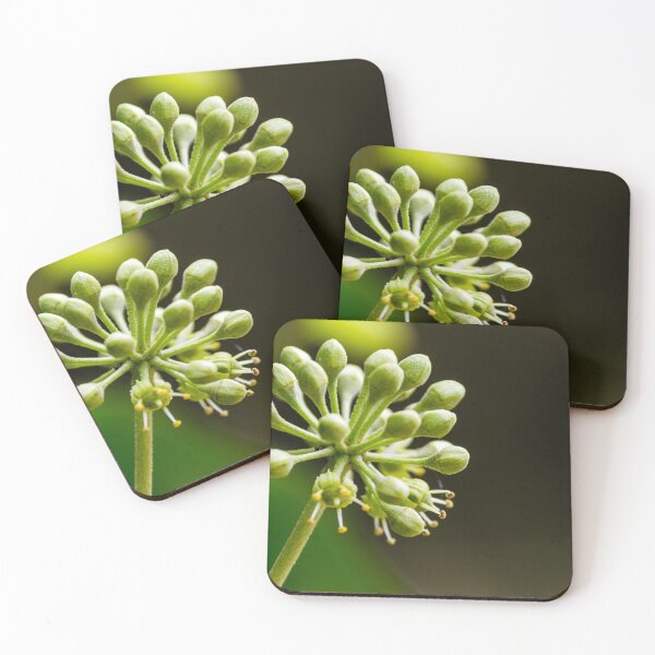 Item preview, Green Flower Buds Macro Close-Up On Stem With Emerging Blossoms And Pollen Detail designed and sold by Nmallia.