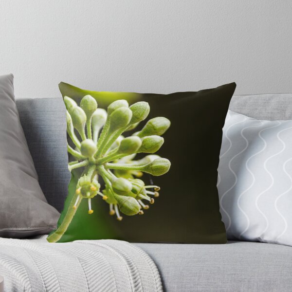 Item preview, Green Flower Buds Macro Close-Up On Stem With Emerging Blossoms And Pollen Detail designed and sold by Nmallia.
