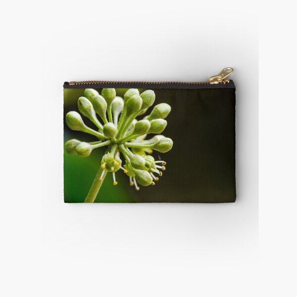 Item preview, Green Flower Buds Macro Close-Up On Stem With Emerging Blossoms And Pollen Detail designed and sold by Nmallia.