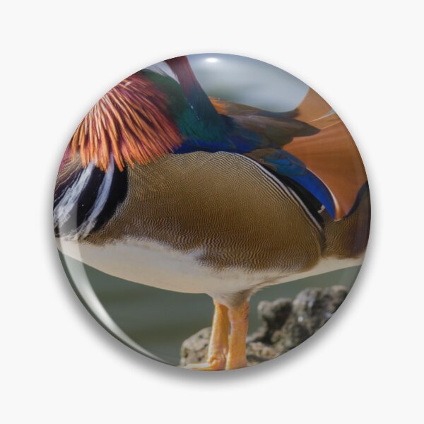 Item preview, Colorful Male Mandarin Duck Standing on Rocks by Calm Water Showing Bright Plumage designed and sold by Nmallia.