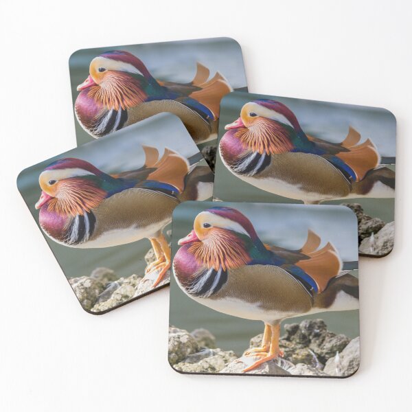 Item preview, Colorful Male Mandarin Duck Standing on Rocks by Calm Water Showing Bright Plumage designed and sold by Nmallia.