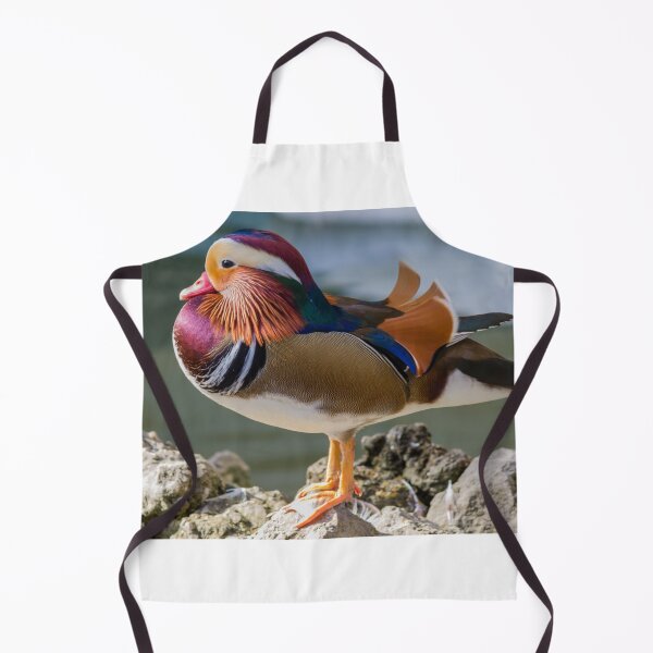 Item preview, Colorful Male Mandarin Duck Standing on Rocks by Calm Water Showing Bright Plumage designed and sold by Nmallia.