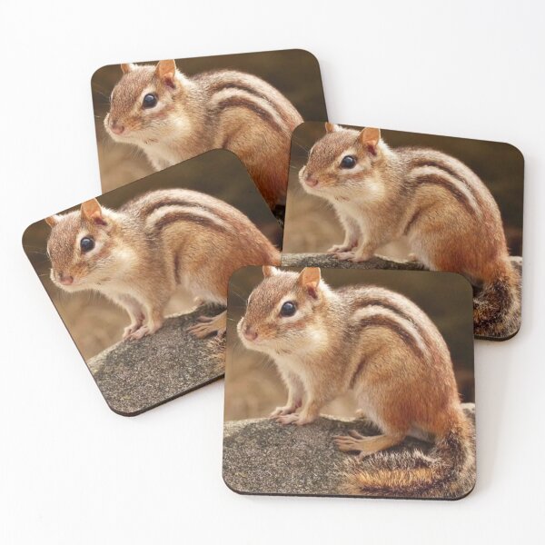 Item preview, Little Chipmunk on a Mossy Rock designed and sold by GUINewAlex.