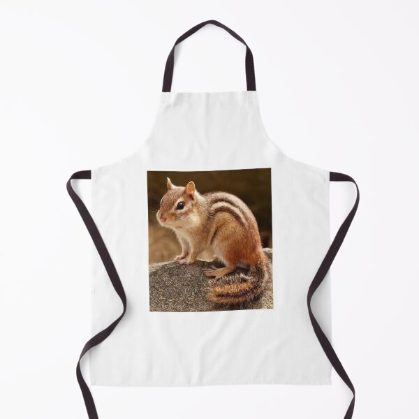 Item preview, Little Chipmunk on a Mossy Rock designed and sold by GUINewAlex.