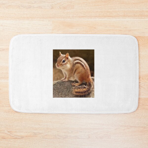 Item preview, Little Chipmunk on a Mossy Rock designed and sold by GUINewAlex.
