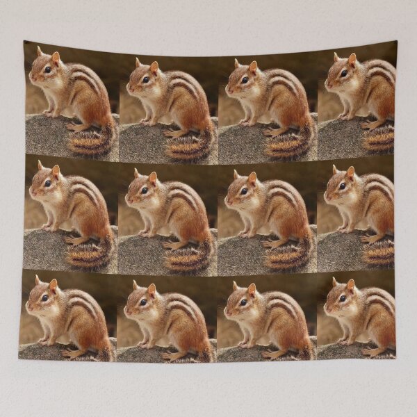 Item preview, Little Chipmunk on a Mossy Rock designed and sold by GUINewAlex.