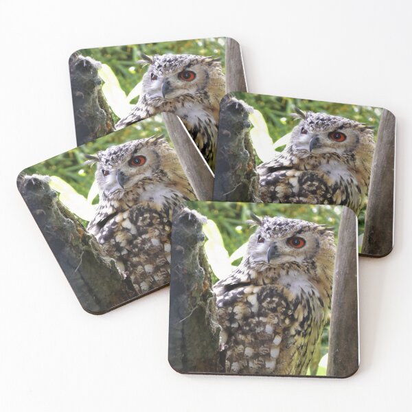 Item preview, Indian eagle-owl designed and sold by Sticky Oak.
