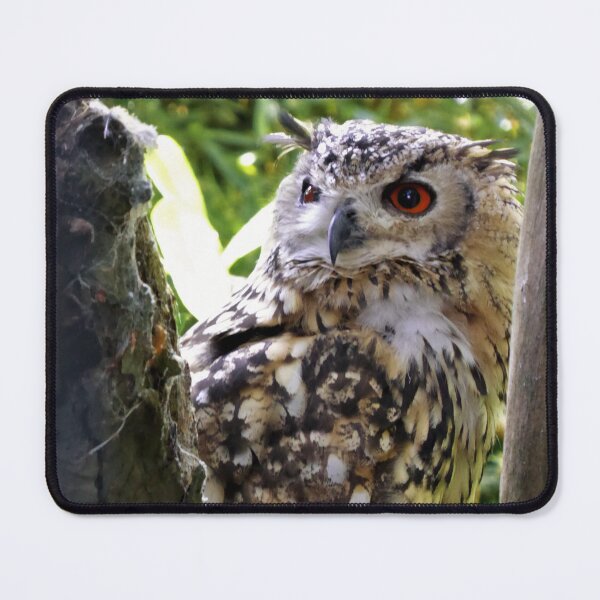 Item preview, Indian eagle-owl designed and sold by Sticky Oak.