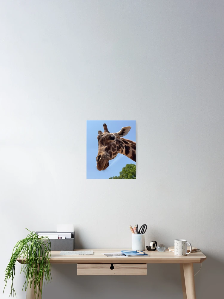 Thumbnail 2 of 3, Poster, Hello! designed and sold by Lsteuart.