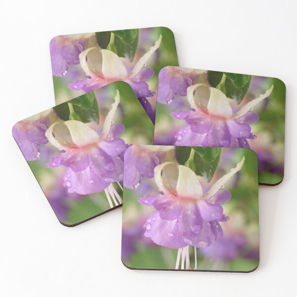 Item preview,  Fuchsia 'Prince George' designed and sold by Chris Burrows.