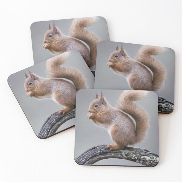 Item preview, Red Squirrel on a Mossy Branch designed and sold by GUINewAlex.