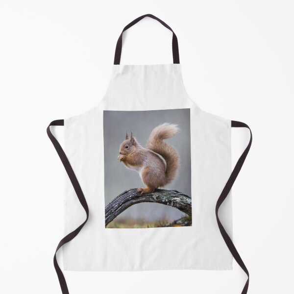 Item preview, Red Squirrel on a Mossy Branch designed and sold by GUINewAlex.