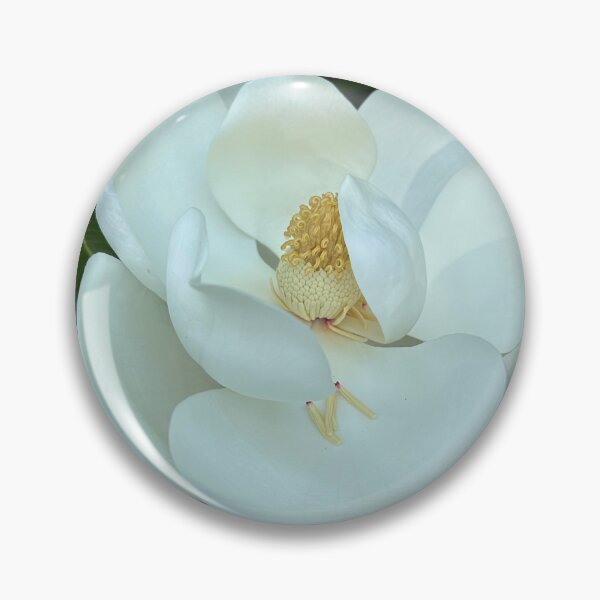 Item preview, Carolina Magnolia designed and sold by Lsteuart.