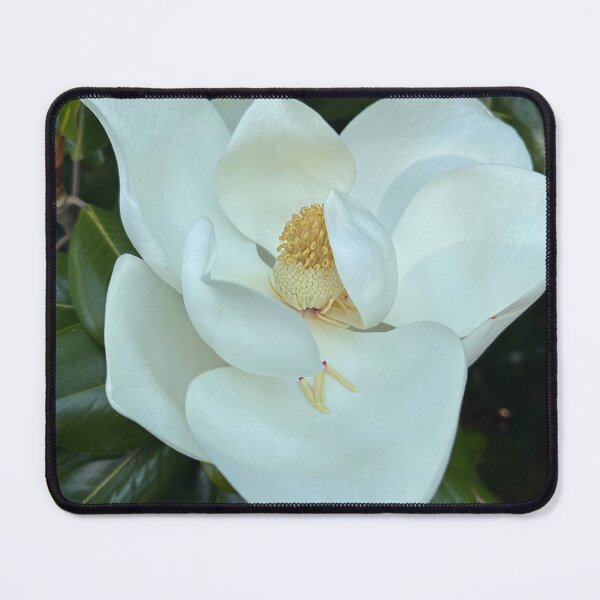 Item preview, Carolina Magnolia designed and sold by Lsteuart.