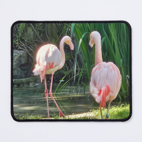 Item preview, 2 flamingos walking away designed and sold by Lizzilzil.