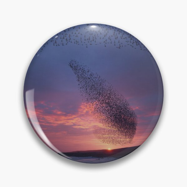 Item preview, A flock of European Starlings forming murmuration patterns at sunset, Birds in Motion designed and sold by CDC40.