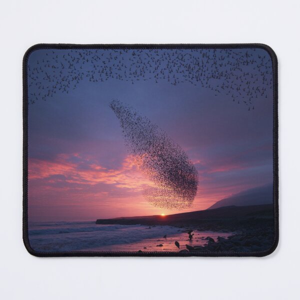 Item preview, A flock of European Starlings forming murmuration patterns at sunset, Birds in Motion designed and sold by CDC40.