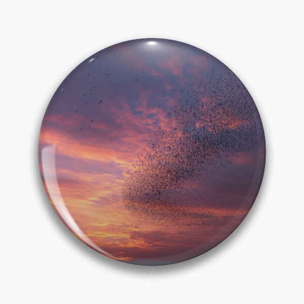 Item preview, A flock of European Starlings forming murmuration patterns at sunset, Birds in Motion designed and sold by CDC40.