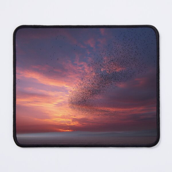 Item preview, A flock of European Starlings forming murmuration patterns at sunset, Birds in Motion designed and sold by CDC40.