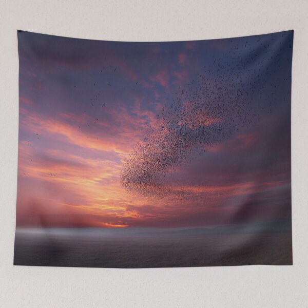Item preview, A flock of European Starlings forming murmuration patterns at sunset, Birds in Motion designed and sold by CDC40.