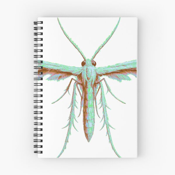 Item preview, Plume Moth designed and sold by florback.