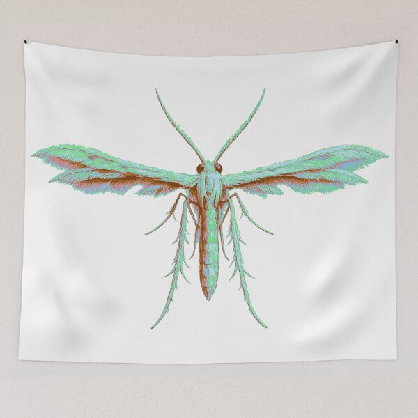 Item preview, Plume Moth designed and sold by florback.