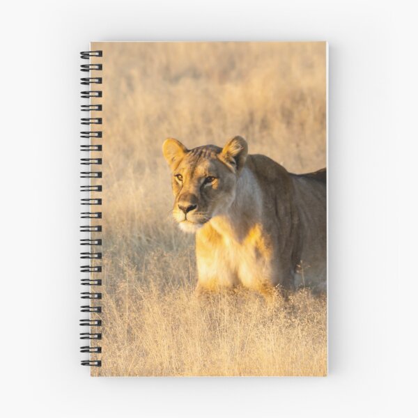 Item preview, Lion in the grass. designed and sold by Anne Scantlebury.