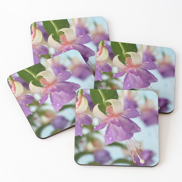 Item preview,  Fuchsia 'Prince George' designed and sold by Chris Burrows.