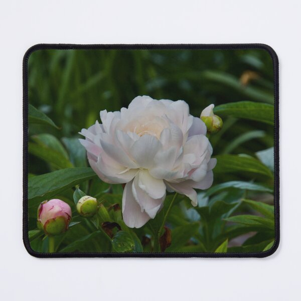 Item preview, The Fullness of Beauty designed and sold by Lsteuart.