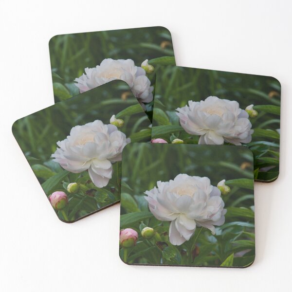 Item preview, The Fullness of Beauty designed and sold by Lsteuart.