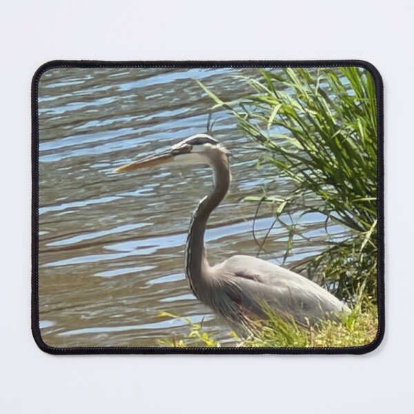 Item preview, Graceful Great Blue Heron Wading in Shallow Waters. designed and sold by Pearls1.