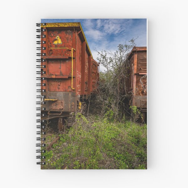 Item preview, Abandoned Train Wagons in Nature designed and sold by Rabee Khalil Photography.