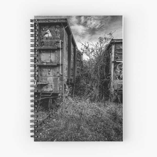 Item preview, Abandoned Train Wagons – Black and White designed and sold by Rabee Khalil Photography.