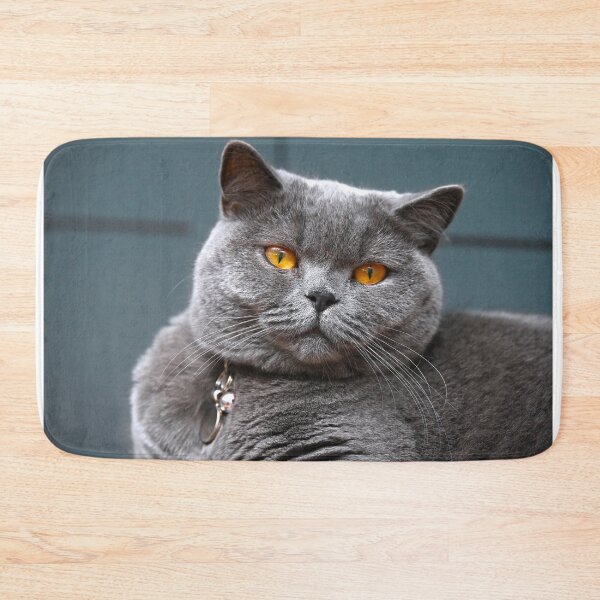 Item preview, Amber Eyes British Blue Cat  designed and sold by Lovemydesigns.