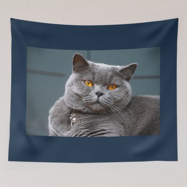 Item preview, Amber Eyes British Blue Cat  designed and sold by Lovemydesigns.