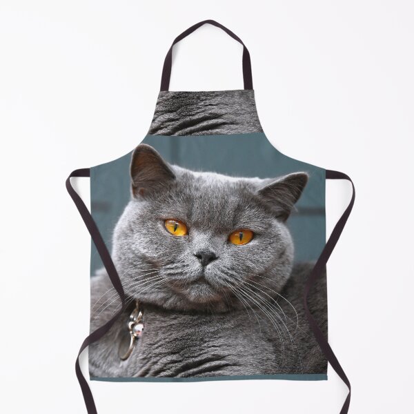 Item preview, Amber Eyes British Blue Cat  designed and sold by Lovemydesigns.
